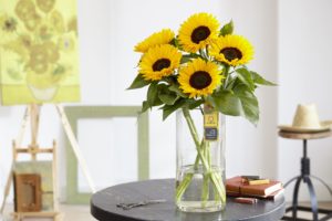 Sunrich – Van Gogh’s Favorite sunflower moves into Europe