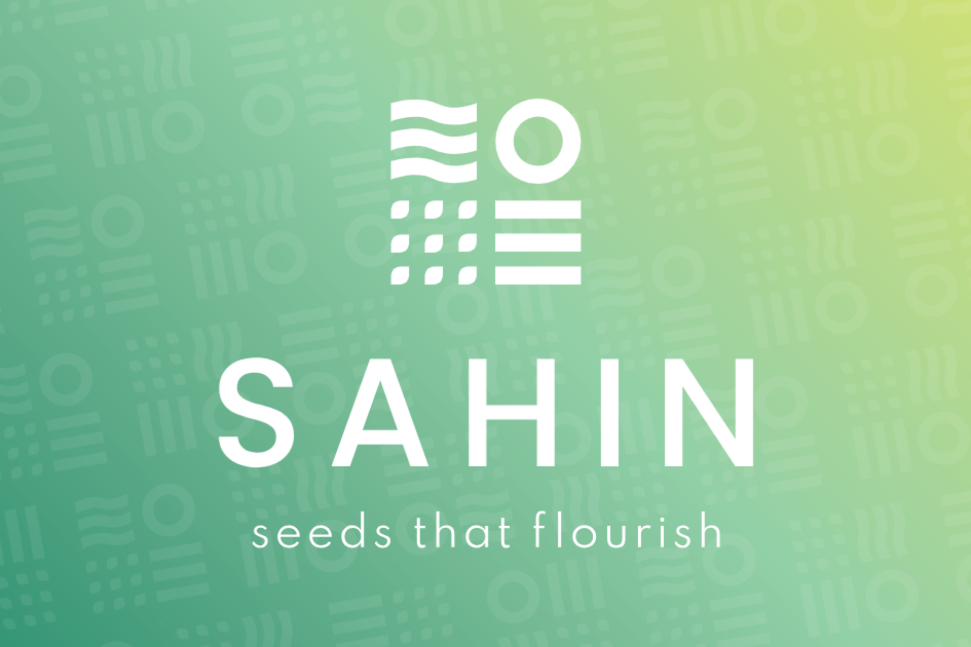 Takii Unveils New Brand Identity For Sahin Portfolio